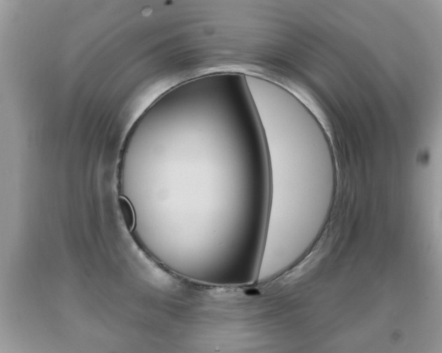 X0000091930906200709051238