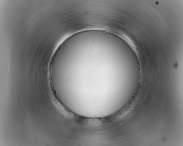 X0000091930907200709051238