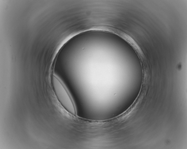X0000091930908200709051238