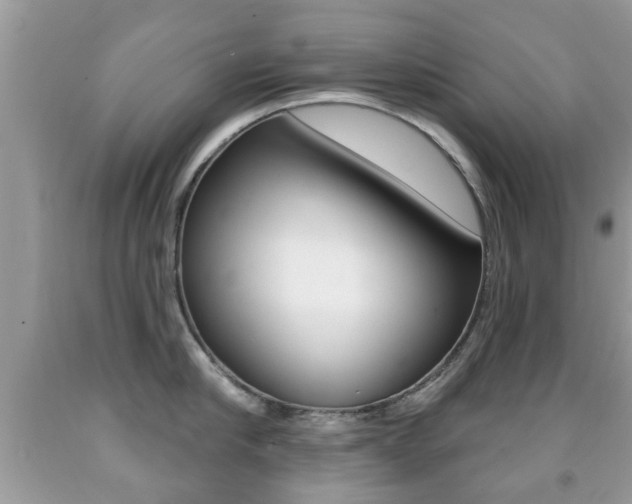 X0000091930910200709051238