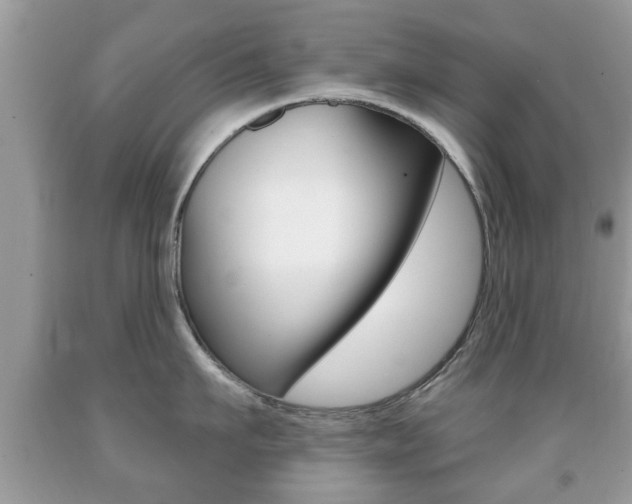 X0000091930911200709051238
