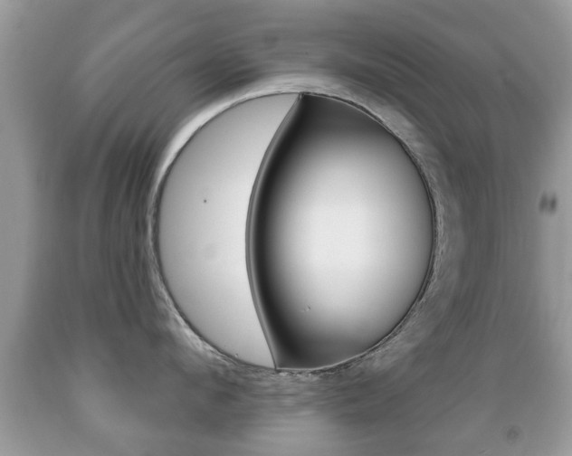 X0000091930912200709051238