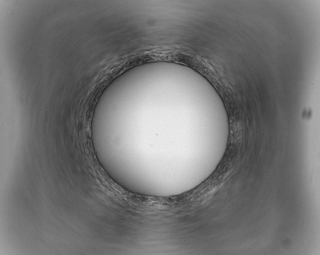 X0000091930913200709051237