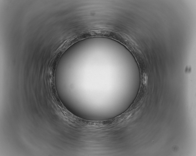 X0000091930915200709051237