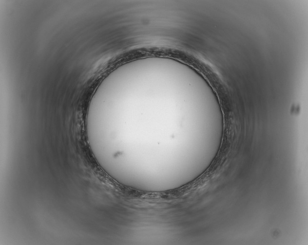 X0000091930918200709051238
