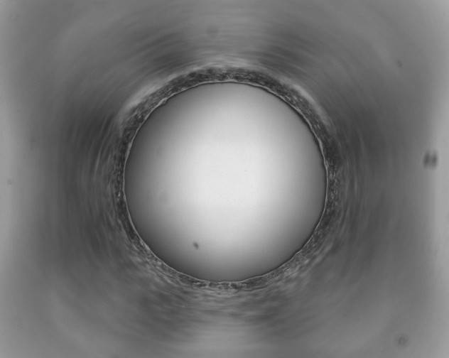 X0000091930919200709051238