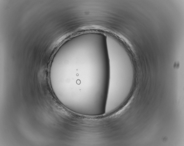 X0000091930921200709051238