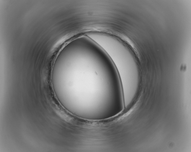 X0000091930922200709051238