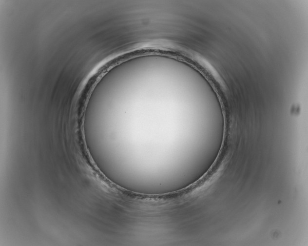 X0000091930923200709051238