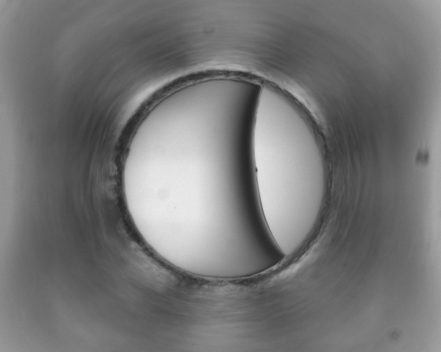 X0000091930926200709051238