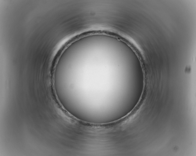 X0000091930927200709051238