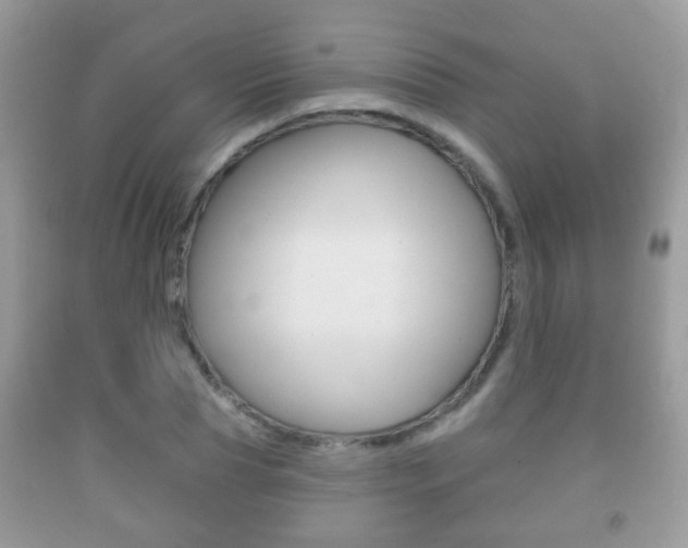 X0000091930929200709051238