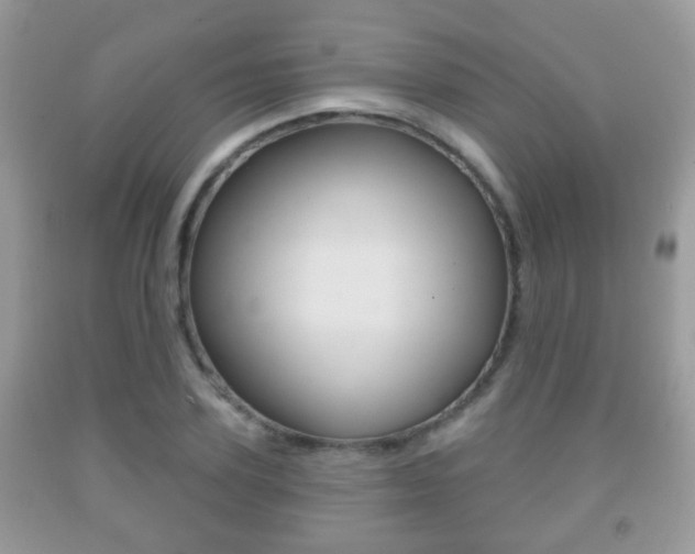 X0000091930931200709051238
