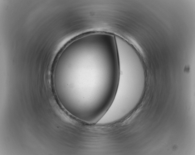X0000091930932200709051238