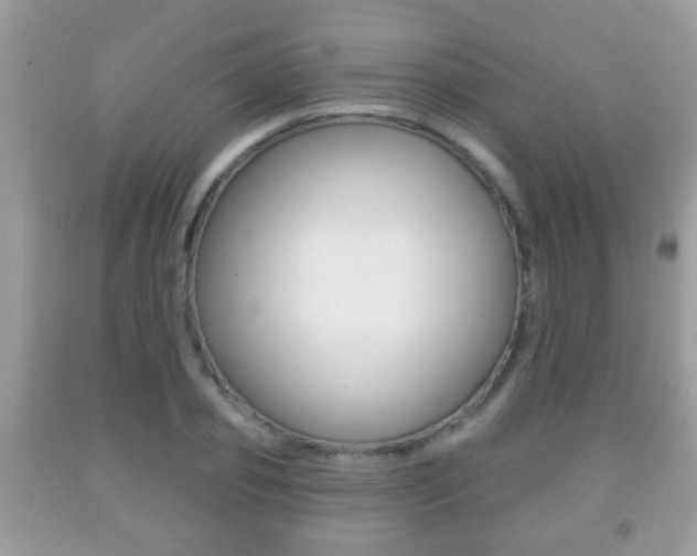X0000091930933200709051238
