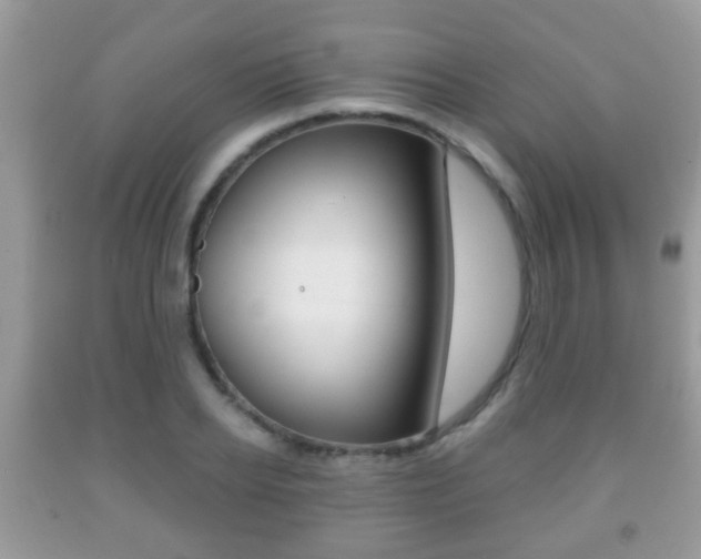 X0000091930934200709051238
