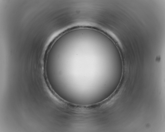 X0000091930935200709051238