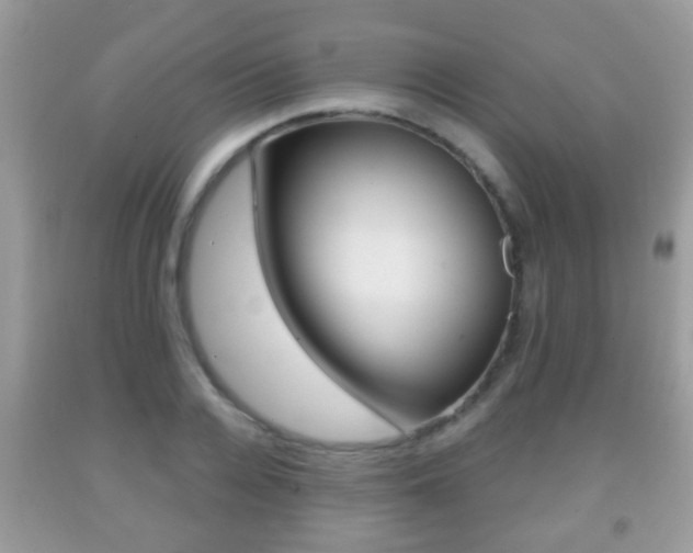 X0000091930936200709051238