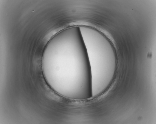 X0000091930937200709051238