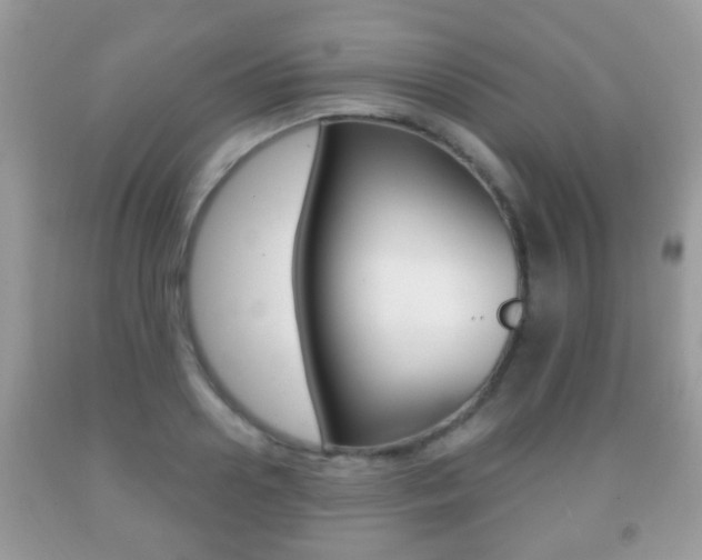 X0000091930938200709051238