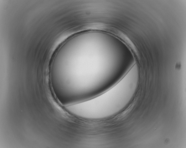 X0000091930939200709051238