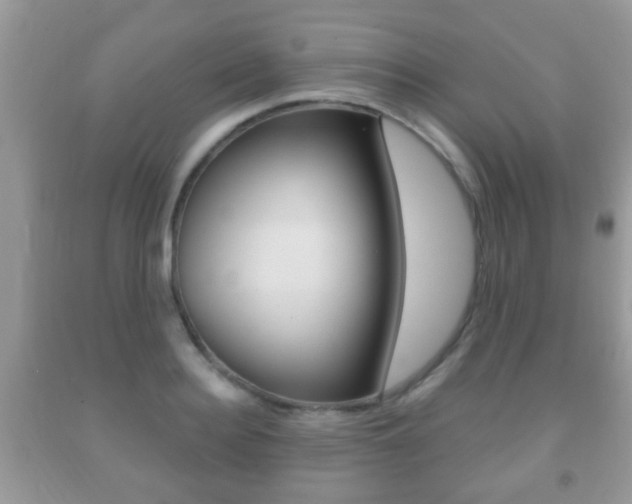 X0000091930940200709051238