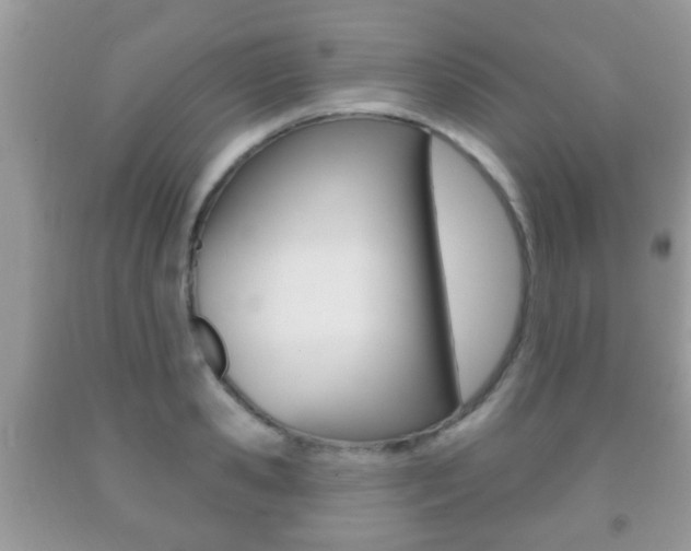 X0000091930941200709051238