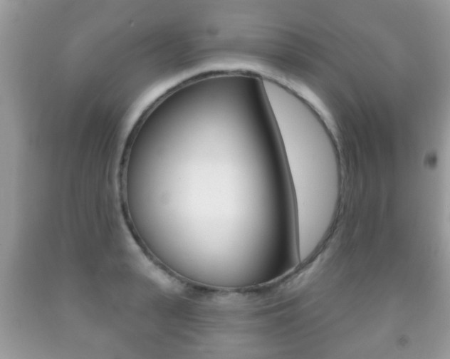 X0000091930943200709051238