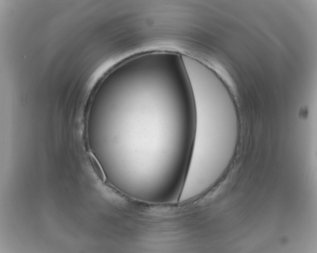 X0000091930944200709051238