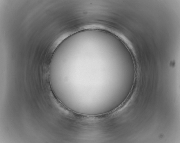 X0000091930945200709051238