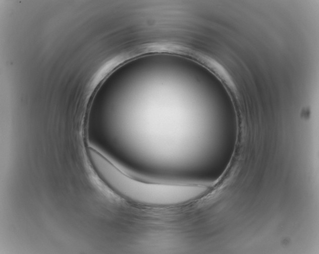 X0000091930946200709051238
