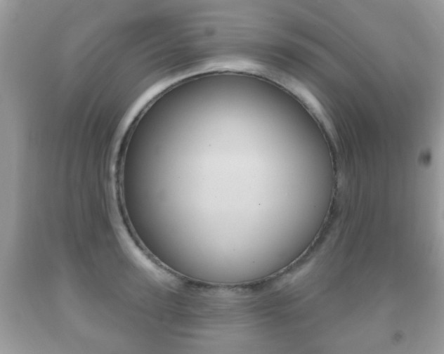 X0000091930947200709051238