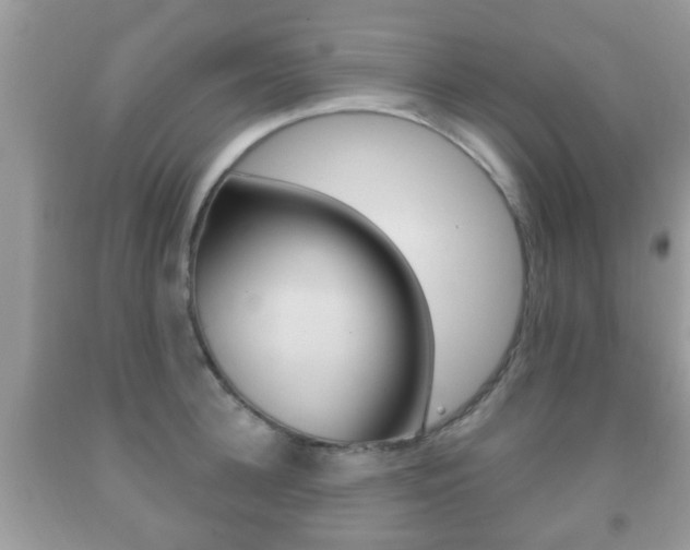 X0000091930948200709051238