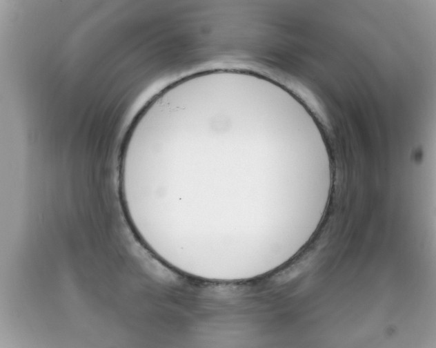 X0000091930950200709051238