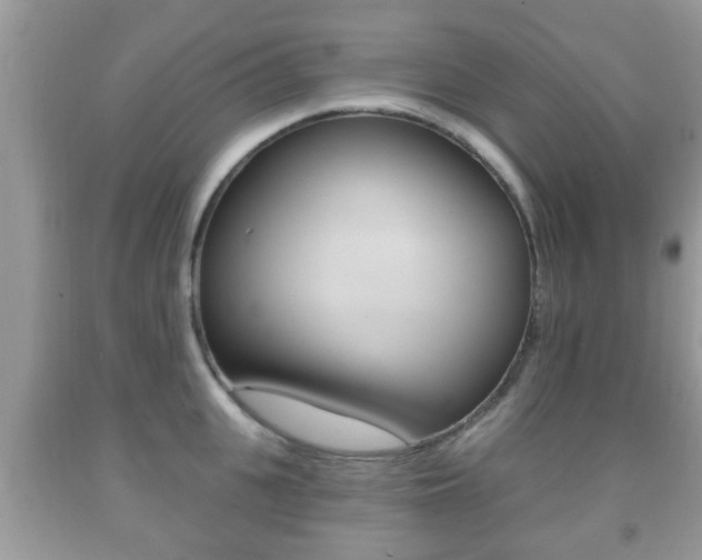 X0000091930951200709051238