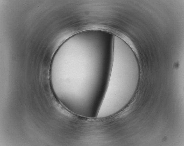 X0000091930954200709051238