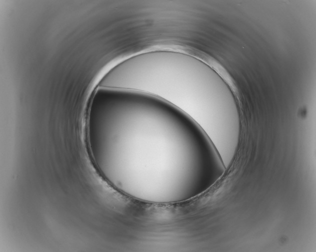 X0000091930955200709051238
