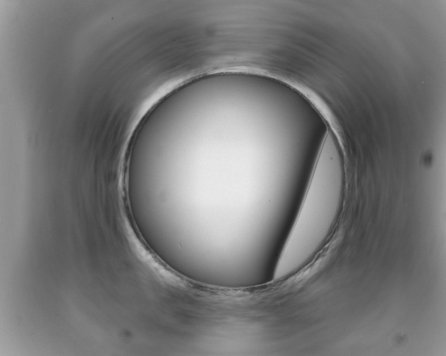 X0000091930957200709051238