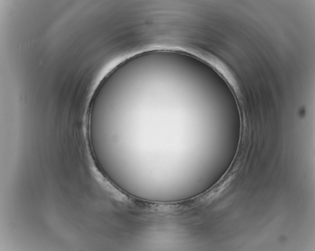 X0000091930958200709051238