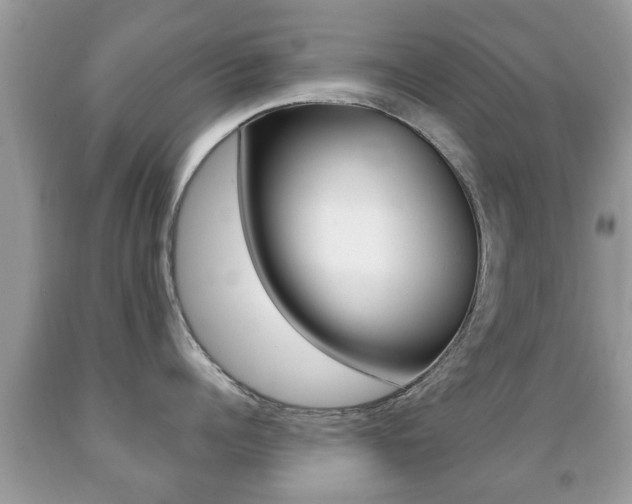 X0000091930960200709051238