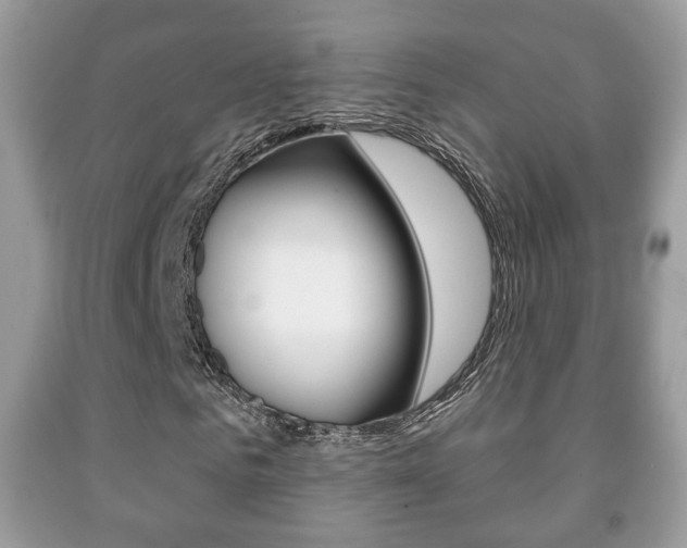 X0000091930961200709051237
