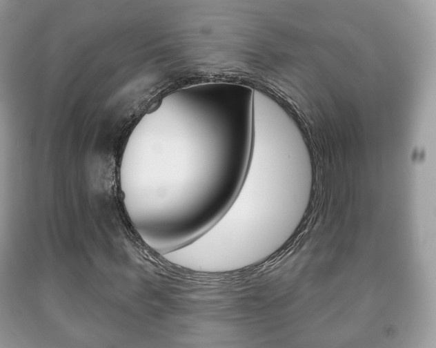 X0000091930963200709051237