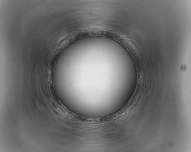X0000091930964200709051237