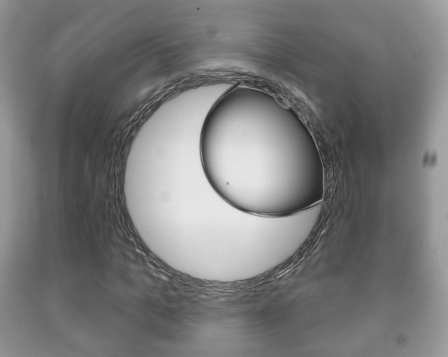 X0000091930965200709051237
