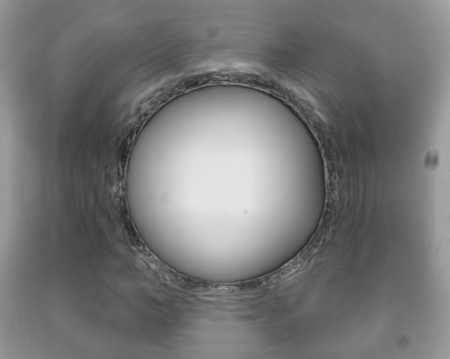 X0000091930966200709051237