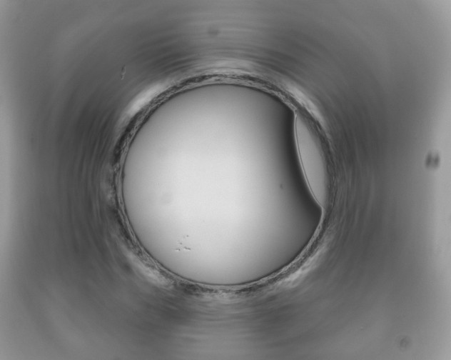 X0000091930970200709051237