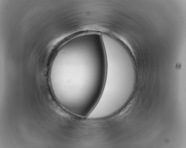 X0000091930971200709051237