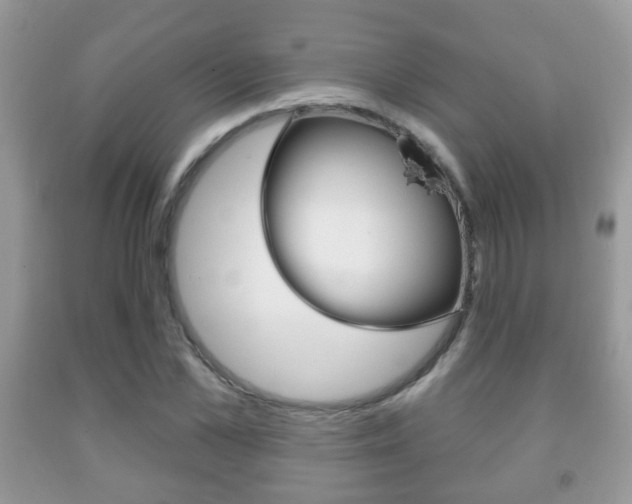 X0000091930973200709051237