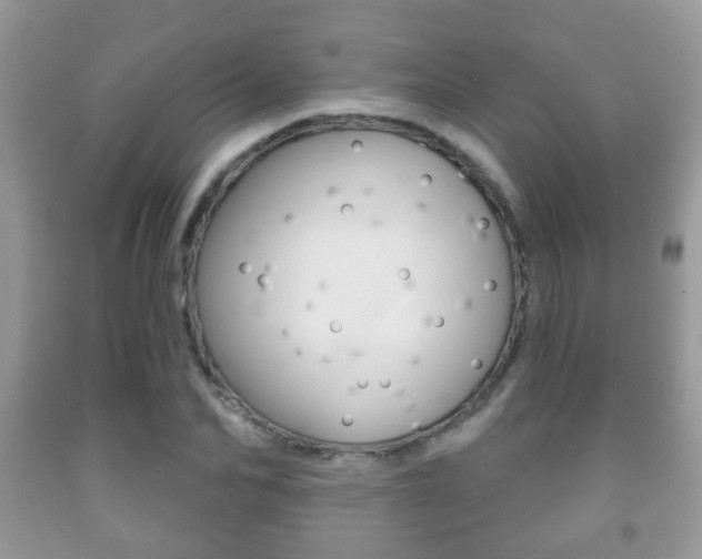 X0000091930974200709051237