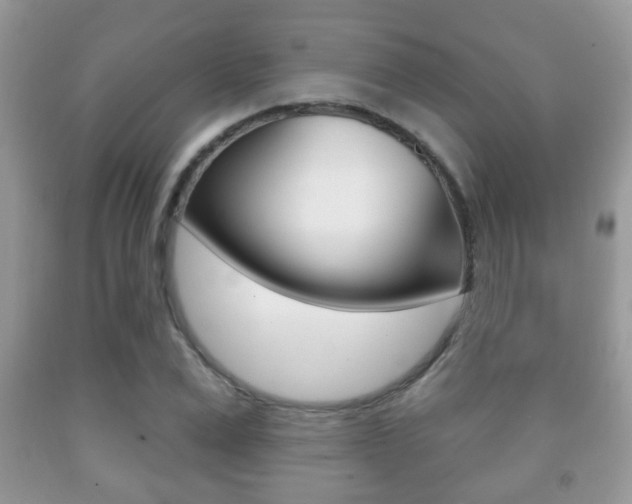 X0000091930975200709051237